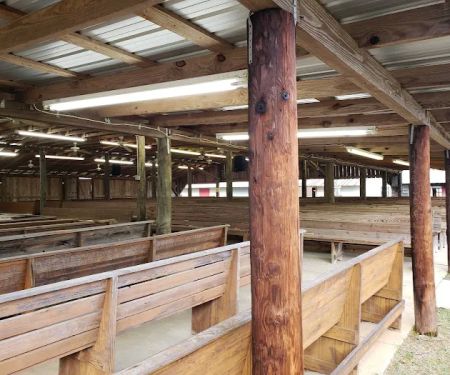 New Prospect Campground