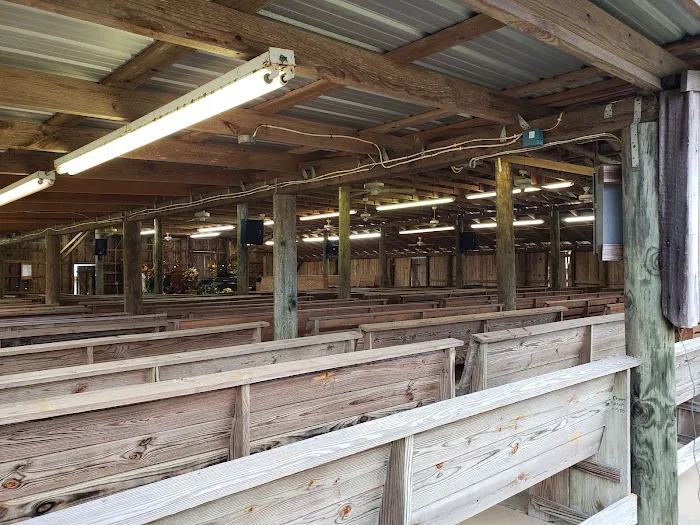 New Prospect Campground Picture 9