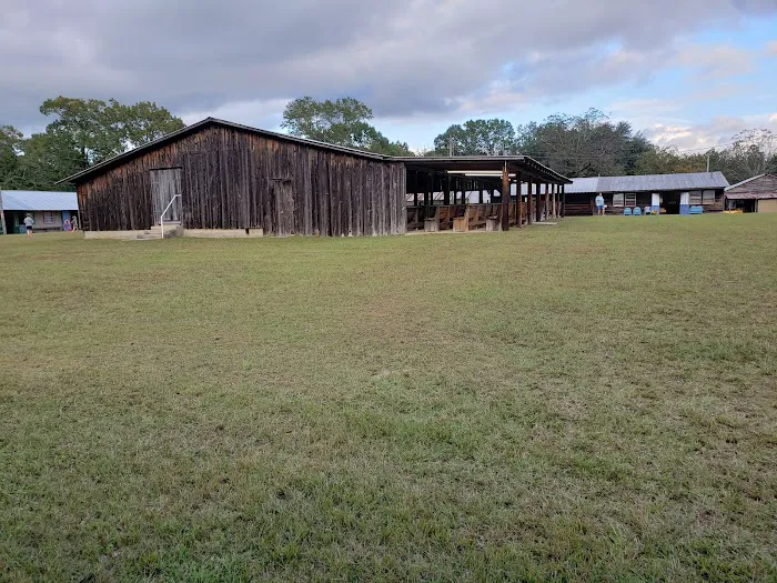 New Prospect Campground Picture 3