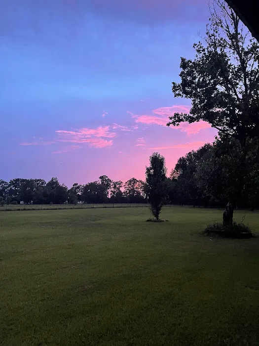 Elevate Red Creek Cabins Picture 8