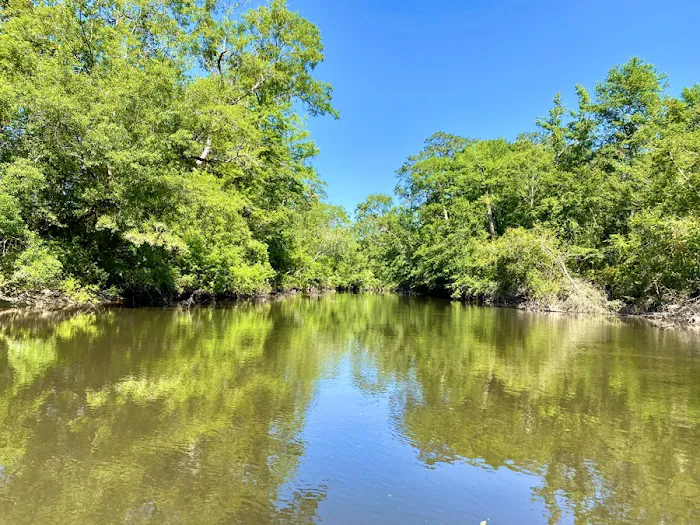 Elevate Red Creek Cabins Picture 7