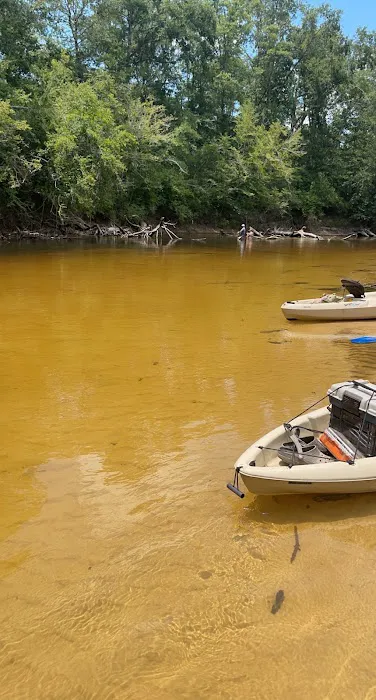 Elevate Red Creek Cabins Picture 5