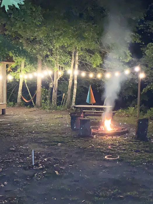 Elevate Red Creek Cabins Picture 6