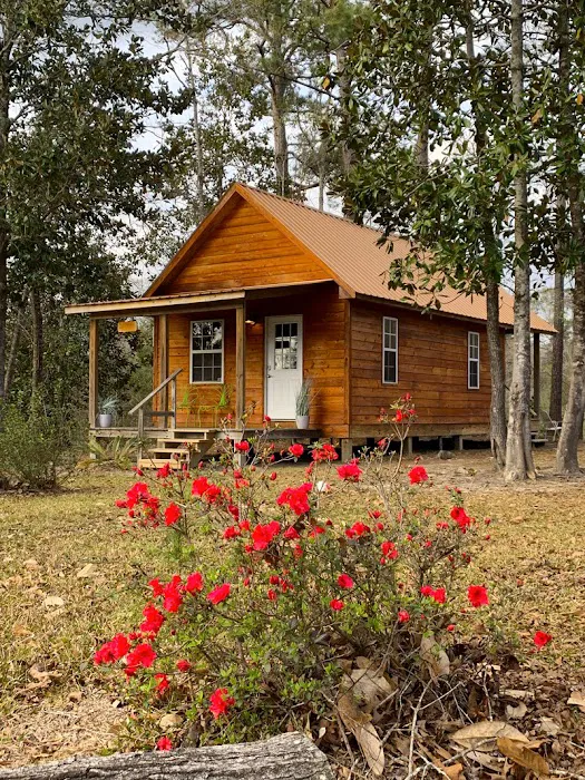 Elevate Red Creek Cabins Picture 2