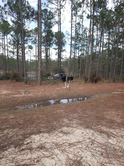 Pow Camp Recreation Area Picture 2