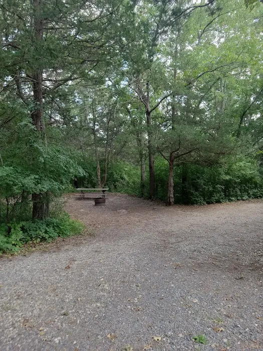 Oak Ridge Campground Picture 9