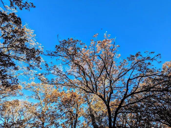 Lakeview Campground Picture 5