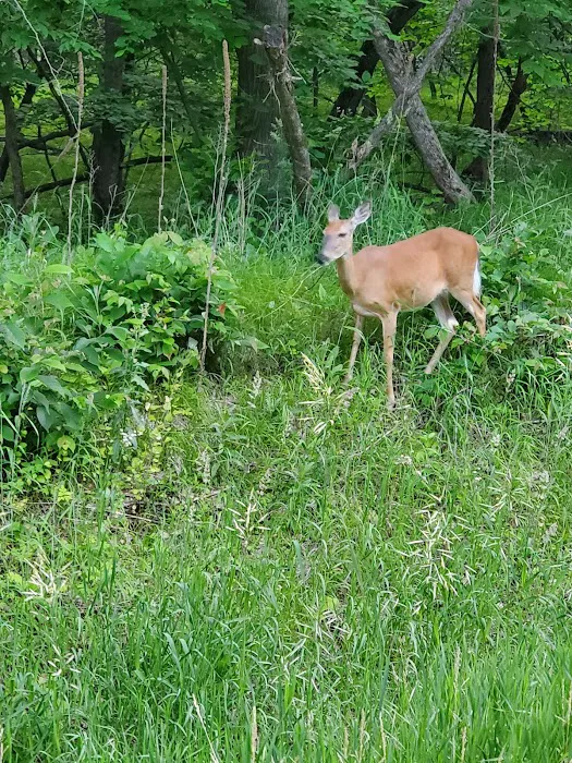 Lakeview Campground Picture 6