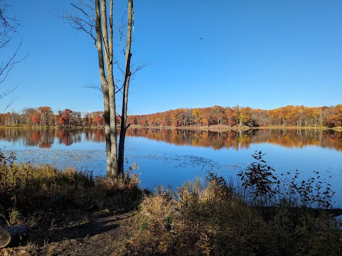 Black Bass Lake Backpacking Site Picture 2