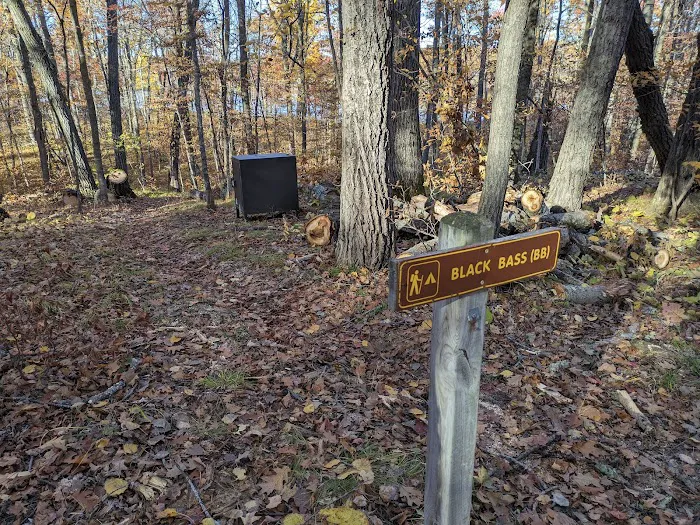 Black Bass Lake Backpacking Site Picture 6