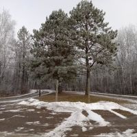 Equestrian Campground ico