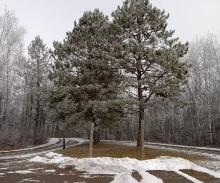 Equestrian Campground