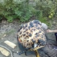 Ogechie Campground ico