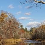 Lower Falls Watercraft Campsite