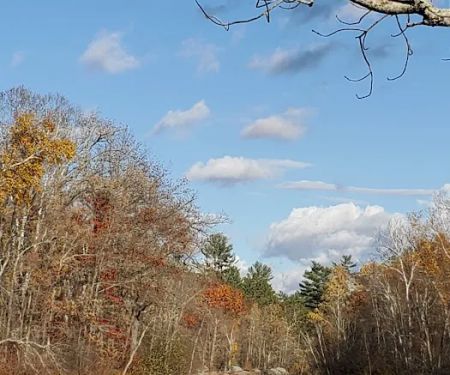 Lower Falls Watercraft Campsite
