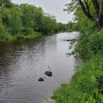 Snake River Campground