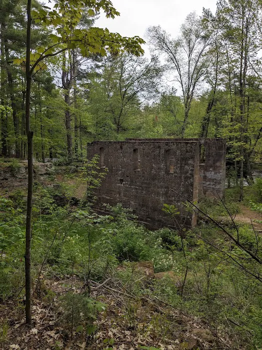 Banning State Park Campground Picture 9