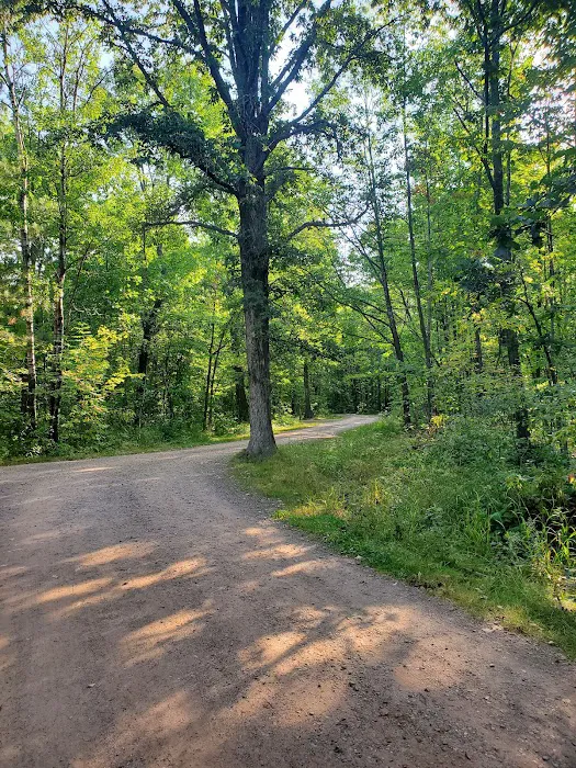 Banning State Park Campground Picture 3