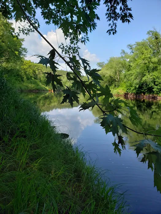 Banning State Park Campground Picture 8