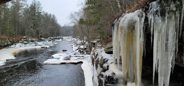 Banning State Park Campground Picture 10