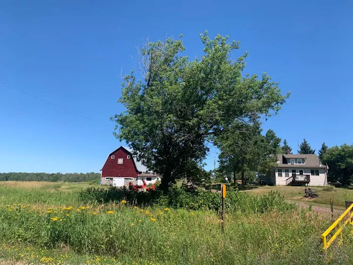 Camping Brno Picture 9