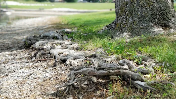 Arrowhead Park Office Picture 6