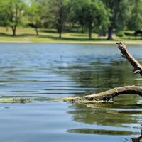 Arrowhead Park Office ico