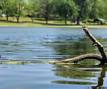 Arrowhead Park Office