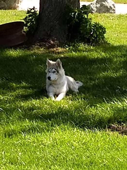 Arrowhead Park Office Picture 7