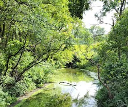 Arrowhead Park Campground 4