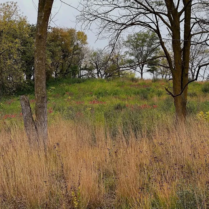 Arrowhead Park Picture 9