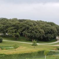 Dammann Oaks Campground ico