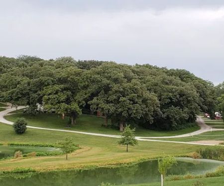 Dammann Oaks Campground