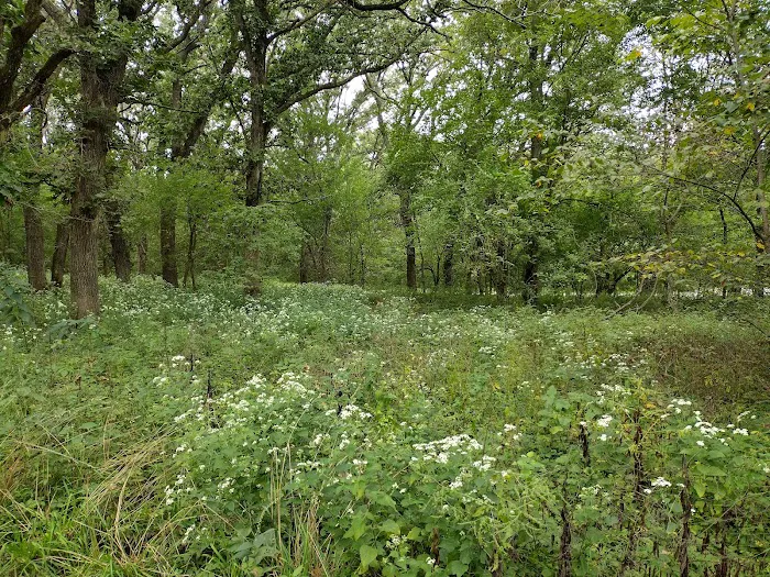 Dammann Oaks Campground Picture 10