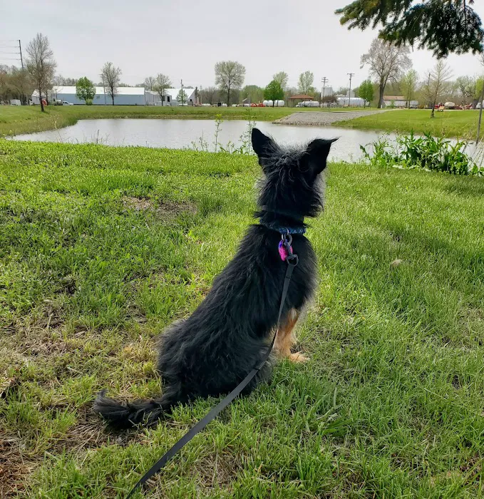 Boehner Pond Campground Picture 10