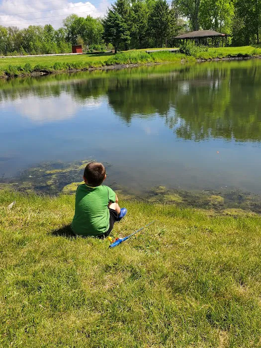 Boehner Pond Campground Picture 8