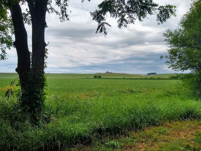 Boehner Pond Campground Picture 9