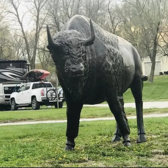 Buffalo Run RV Park Picture 5