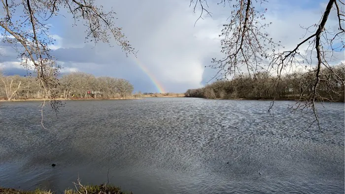 Schreier's On Shetek Campground Picture 6