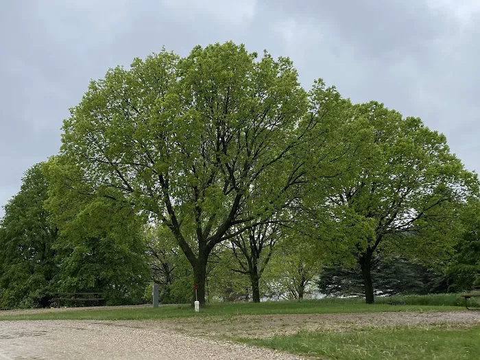 Crawford Creek Campground Picture 10