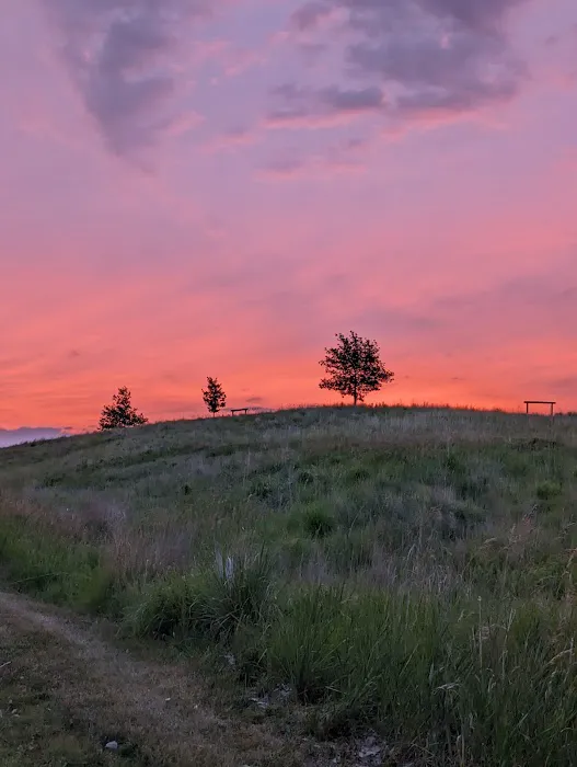 Southwood Conservation Area Campround Picture 4