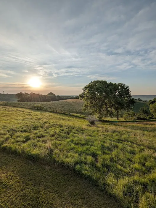 Southwood Conservation Area Campround Picture 2