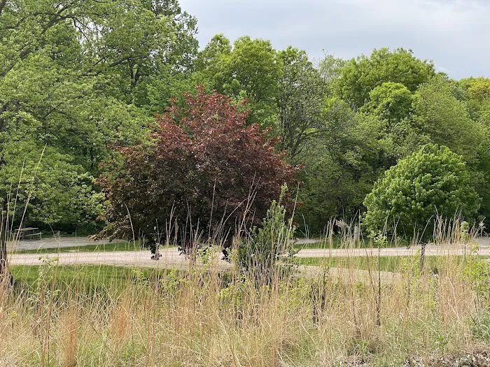 Southwood Conservation Area Campround Picture 9