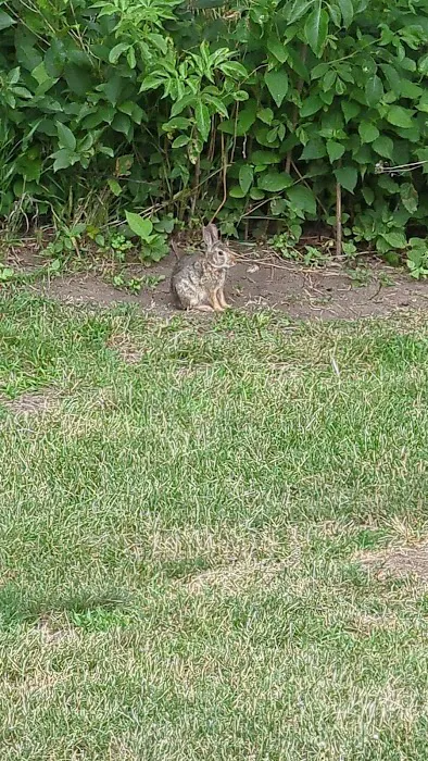 Southwood Conservation Area Campround Picture 5