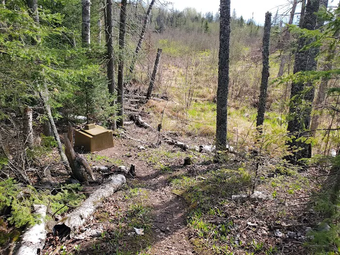 Lone Tree Camp Picture 1