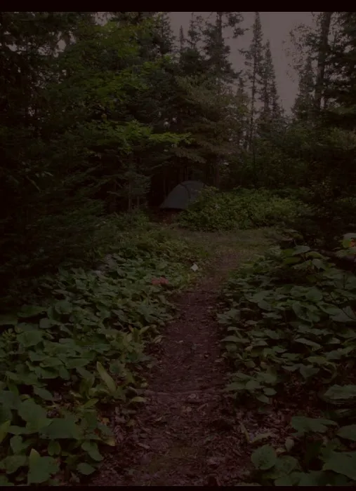 Lone Tree Camp Picture 5