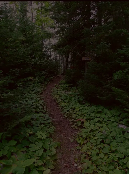 Lone Tree Camp Picture 6