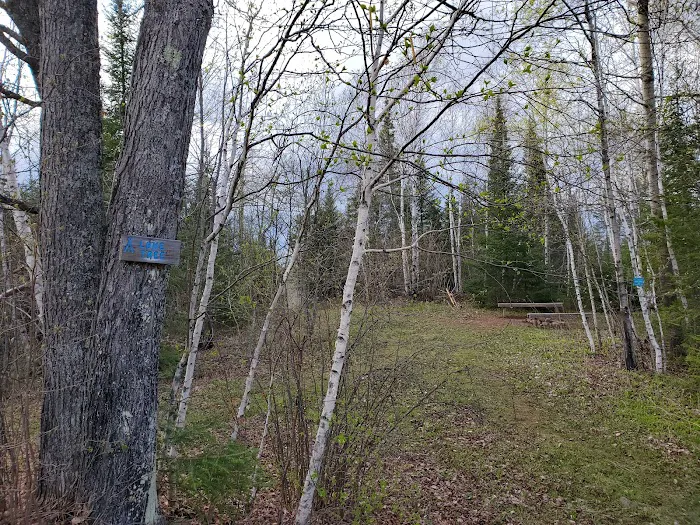 Lone Tree Camp Picture 7
