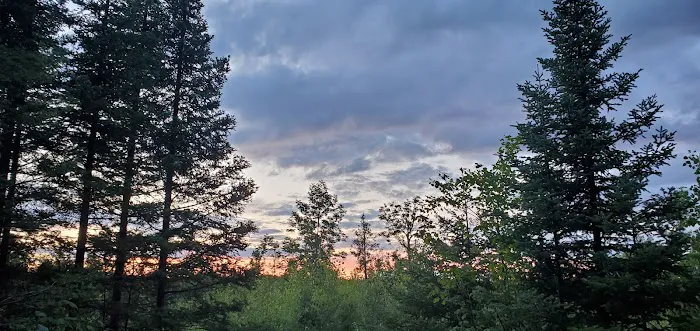 Lone Tree Camp Picture 3