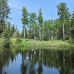 Fish Lake Campsite #6